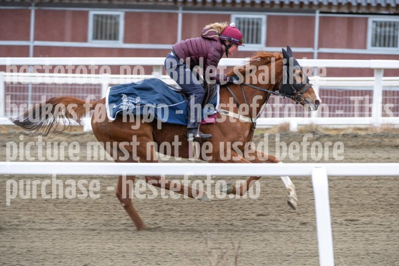 20260321-103139-DSC_9896