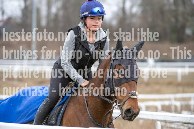 20260321-103419-DSC_0157