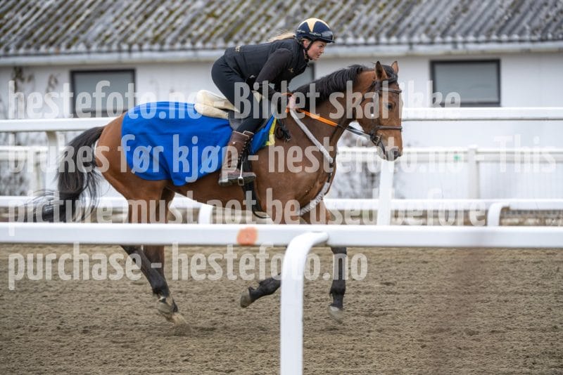 20260321-103433-DSC_0239