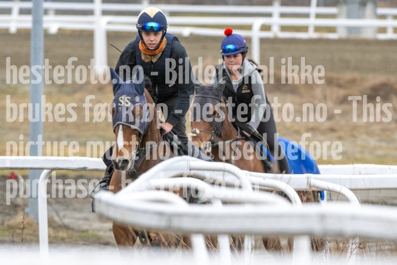 20260321-103507-DSC_0300