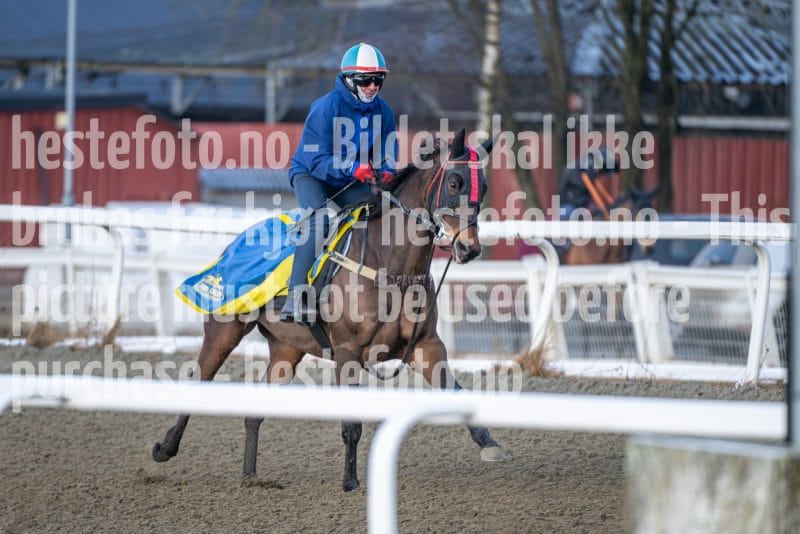 20260328-091638-DSC_3451