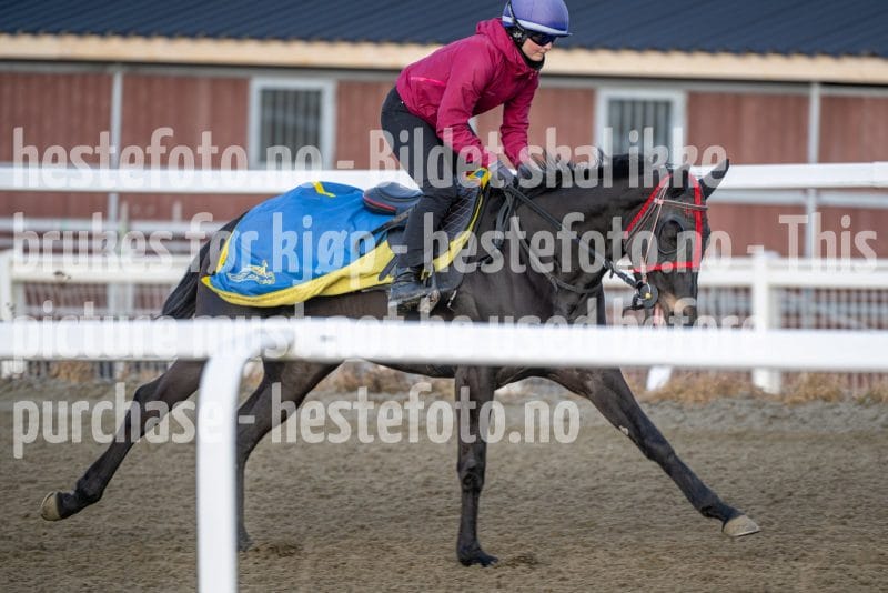 20260328-091700-DSC_3532