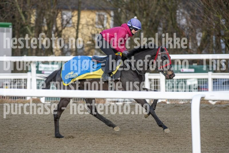 20260328-091702-DSC_3548