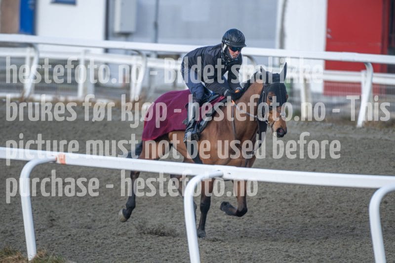 20260328-092039-DSC_3682