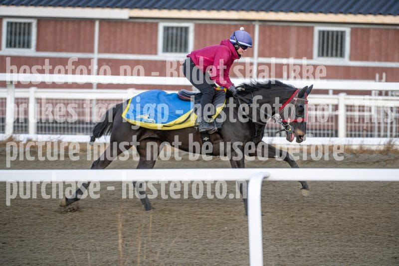 20260328-091918-DSC_3647