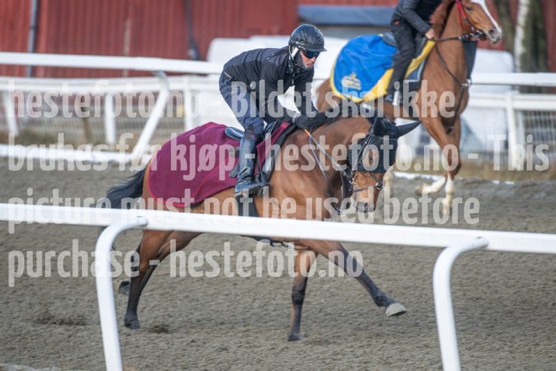 20260328-092041-DSC_3696