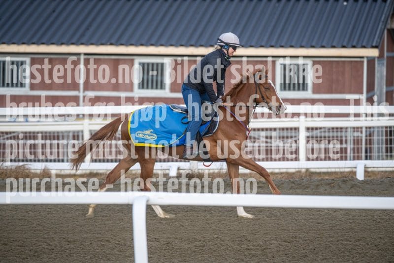 20260328-092046-DSC_3724