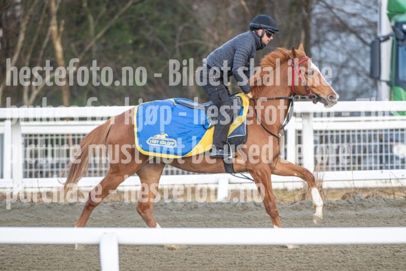 20260328-092048-DSC_3742