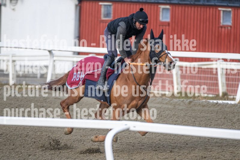 20260328-092128-DSC_3761