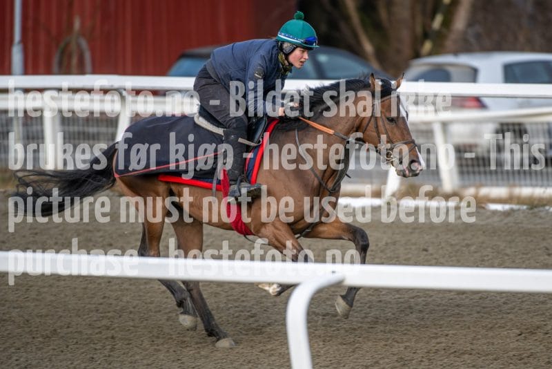 20260328-092327-DSC_4071