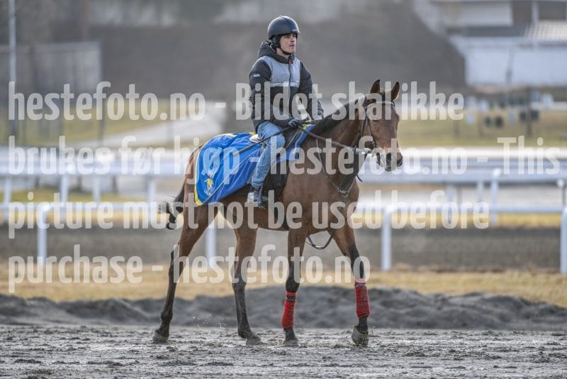 20260328-092343-DSC_4119