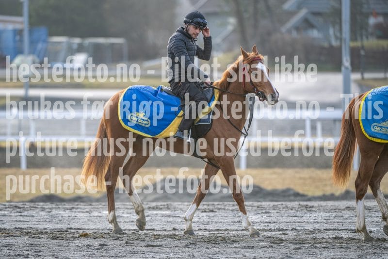 20260328-092400-DSC_4186