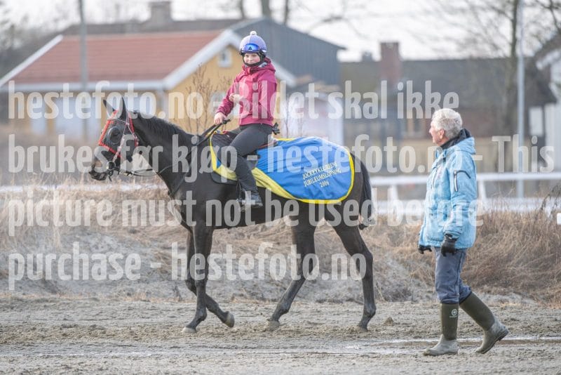 20260328-092429-DSC_4221