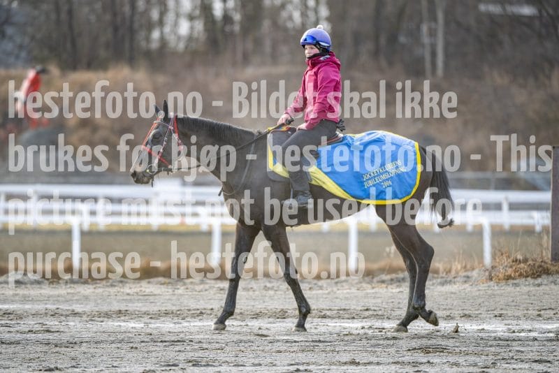 20260328-092607-DSC_4261