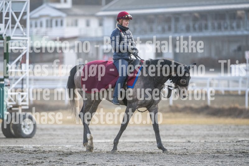 20260328-092621-DSC_4325