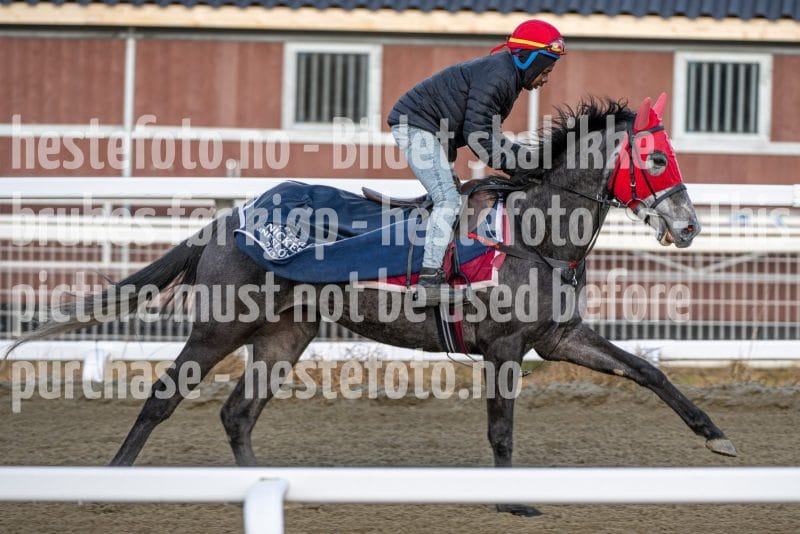 20260328-092930-DSC_4550