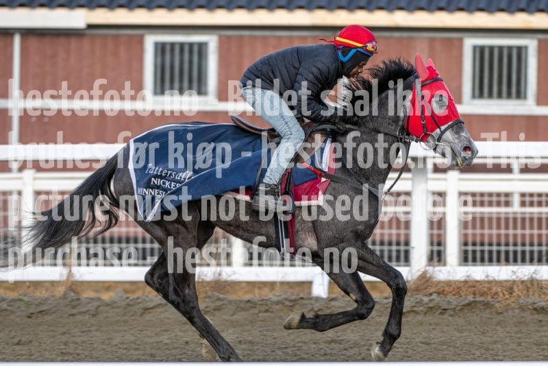 20260328-092930-DSC_4546