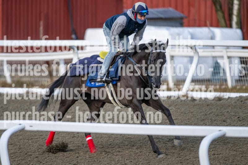 20260328-093249-DSC_4613