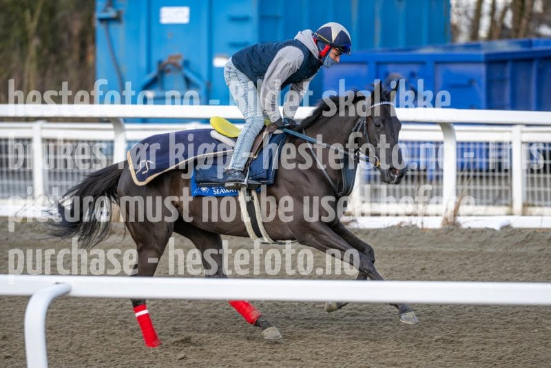 20260328-093251-DSC_4627