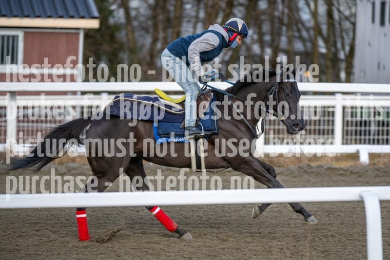 20260328-093253-DSC_4656