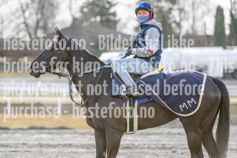 20260328-093738-DSC_4678