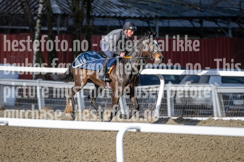 20260328-093918-DSC_4827