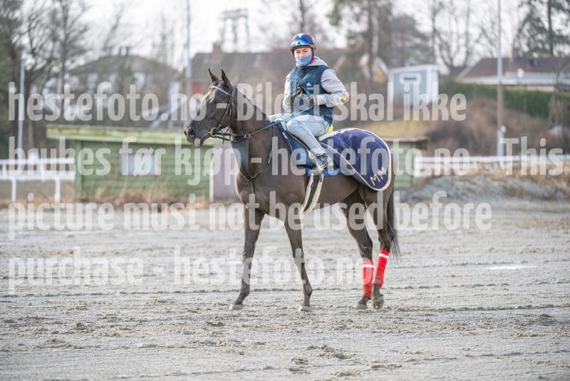 20260328-093805-DSC_4698