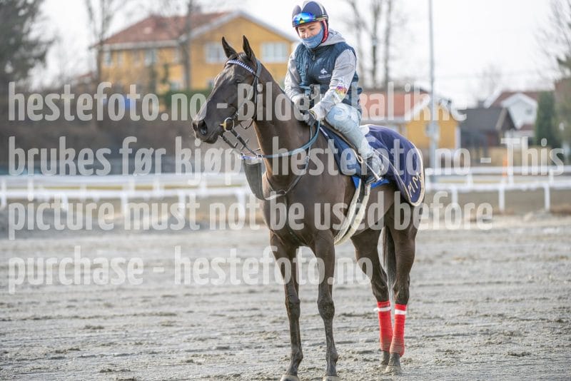 20260328-093833-DSC_4824