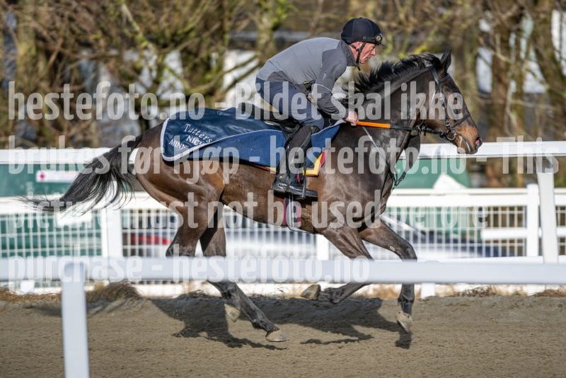 20260328-093923-DSC_4900