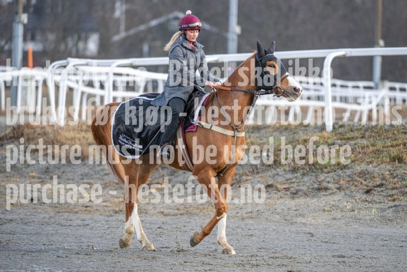 20260328-093934-DSC_4937