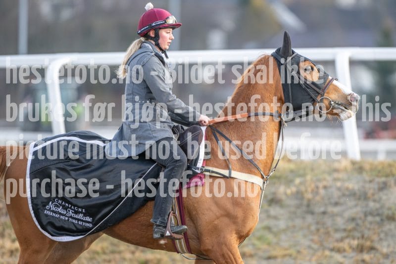 20260328-093938-DSC_4952