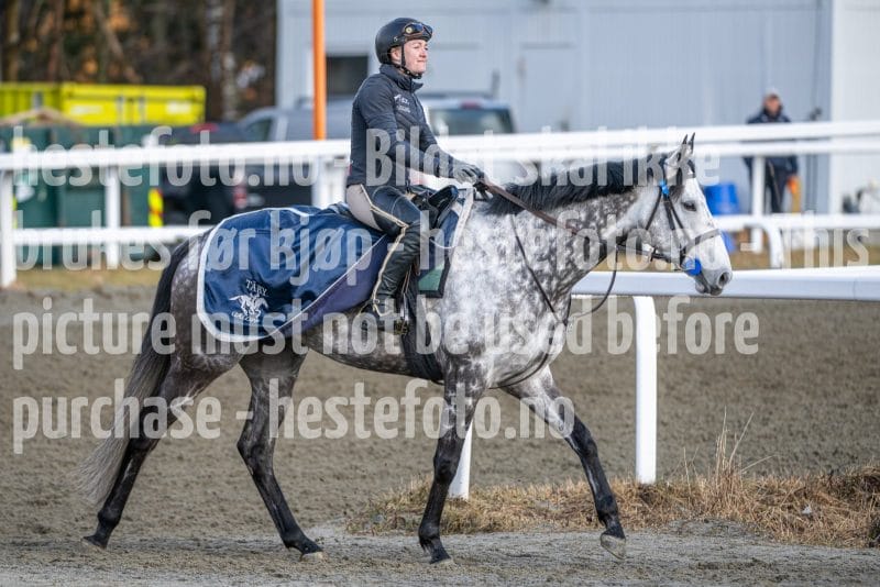 20260328-093944-DSC_4962