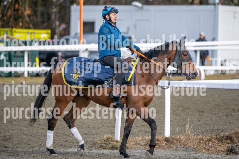 20260328-093950-DSC_4988