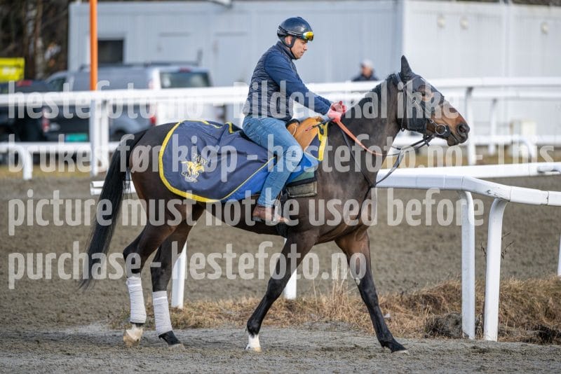 20260328-093947-DSC_4978