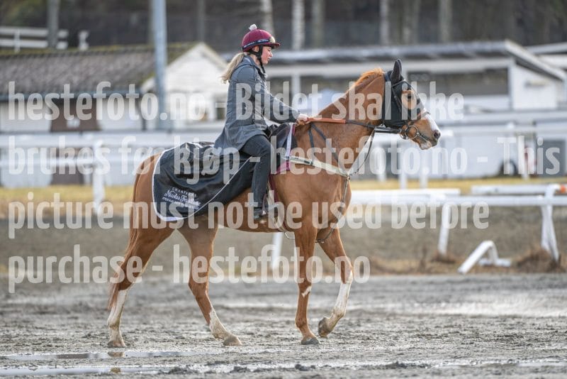 20260328-094016-DSC_5005