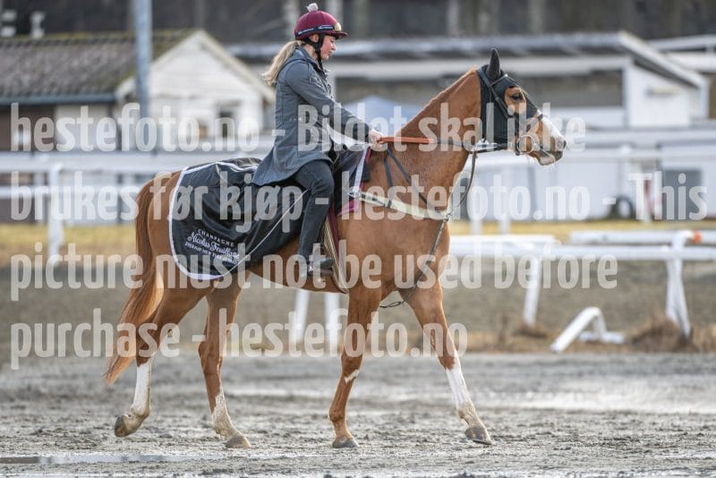 20260328-094016-DSC_5008