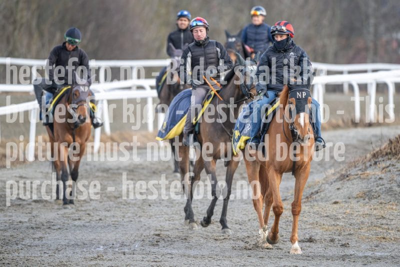 20260328-094232-DSC_5048