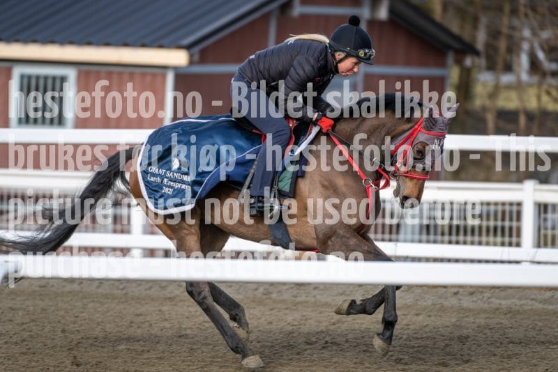 20260328-094442-DSC_5160