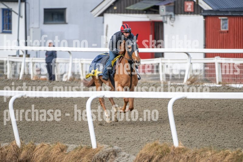 20260328-094808-DSC_5232