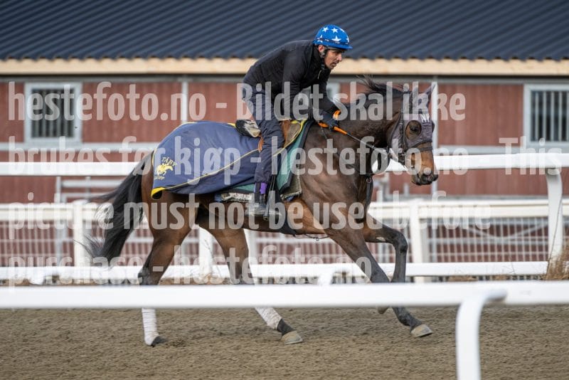 20260328-094711-DSC_5220