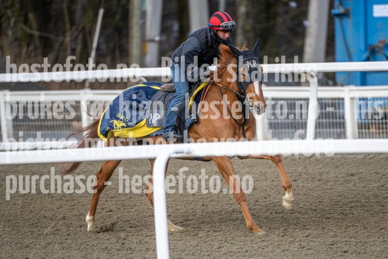 20260328-094810-DSC_5259