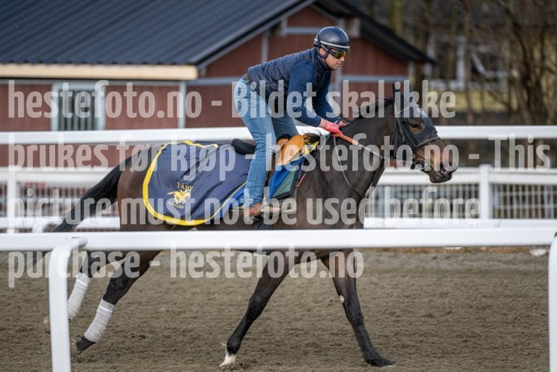 20260328-094835-DSC_5315