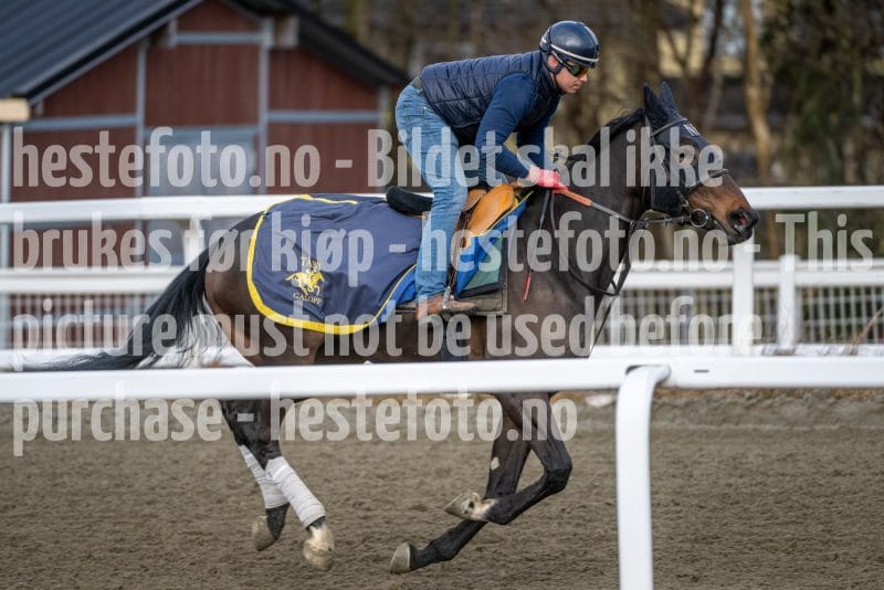 20260328-094835-DSC_5318