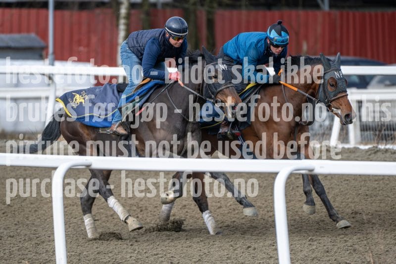 20260328-095037-DSC_5461