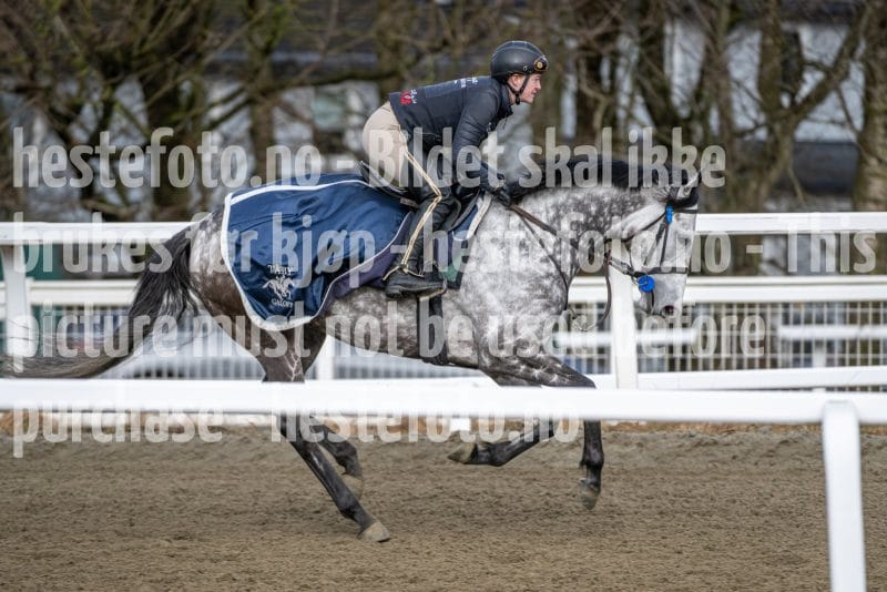 20260328-095012-DSC_5402