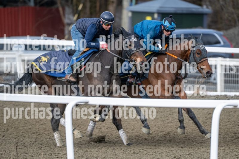 20260328-095037-DSC_5470