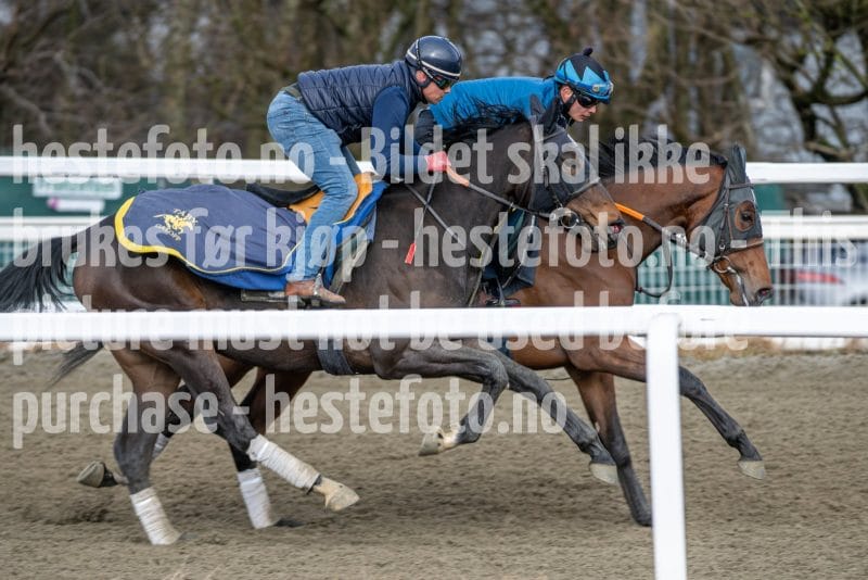 20260328-095040-DSC_5510