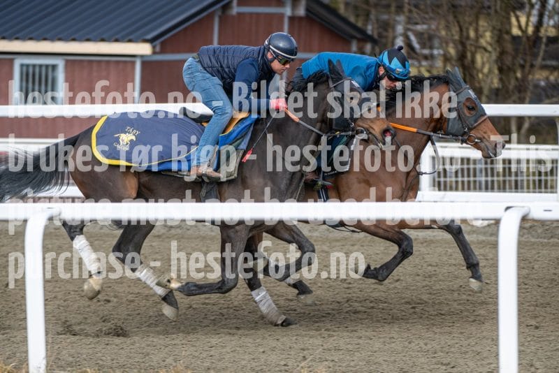 20260328-095040-DSC_5501