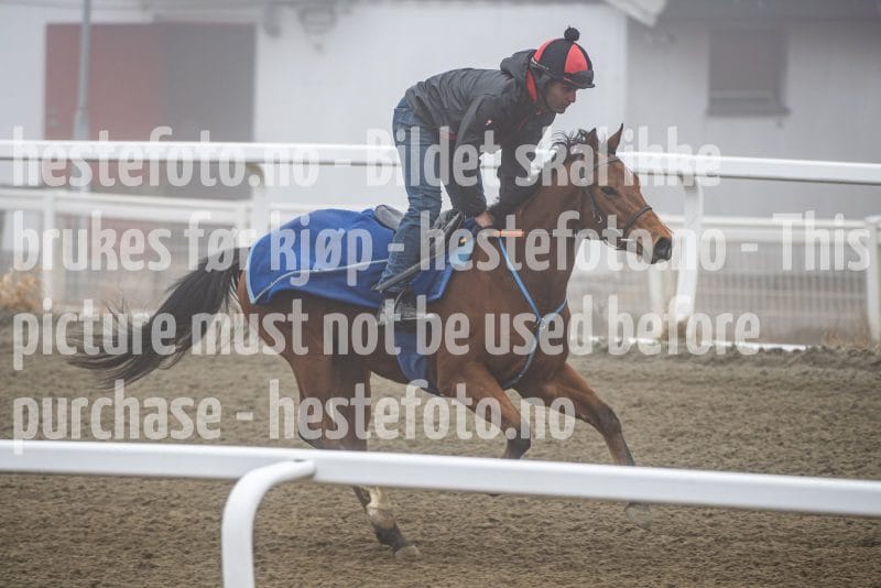 20260328-101710-DSC_5637