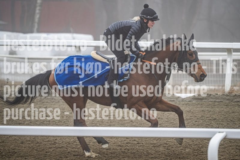 20260328-101713-DSC_5671